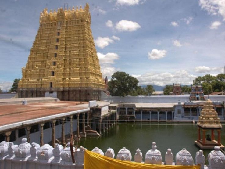 Sri Sankaranarayana Swamy Temple - Sankarankovil Trip Packages