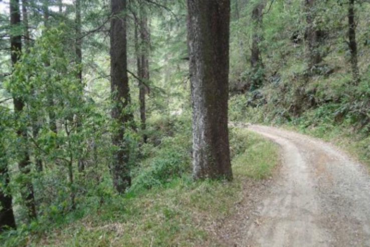 Reserve Forest Sanctuary Trip Packages