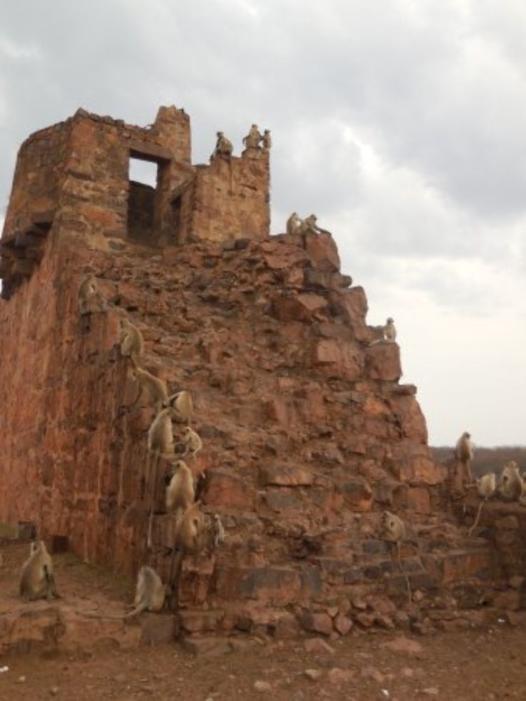 Khandar Fort Trip Packages