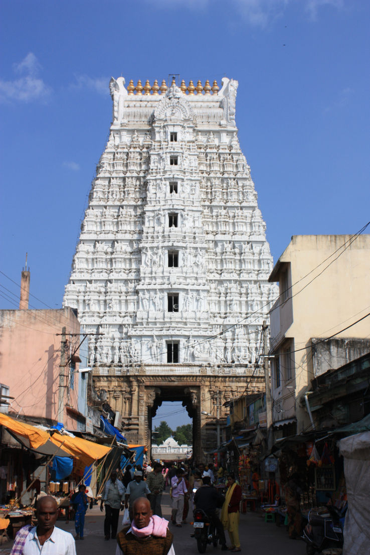 Govindaraja Swami Temple Trip Packages Govindaraja Swami Temple Trip Packages