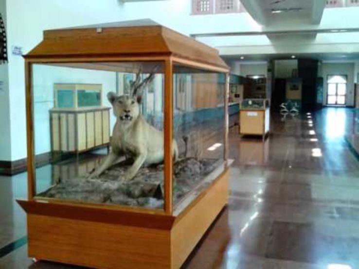 The Rajiv Gandhi Regional Museum Trip Packages