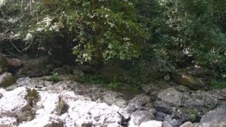 Jogi Gundi Falls Trip Packages Jogi Gundi Falls Trip Packages