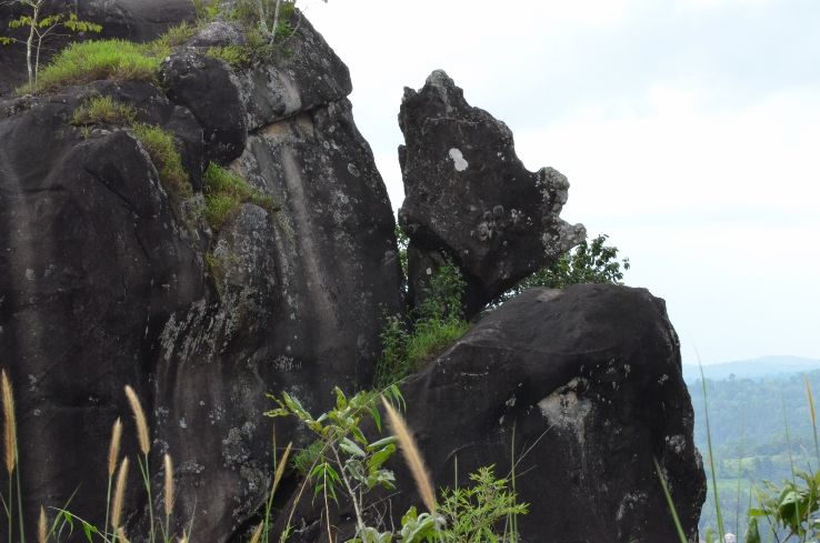 Phantom Rock Trip Packages