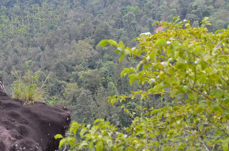 Phantom Rock Trip Packages