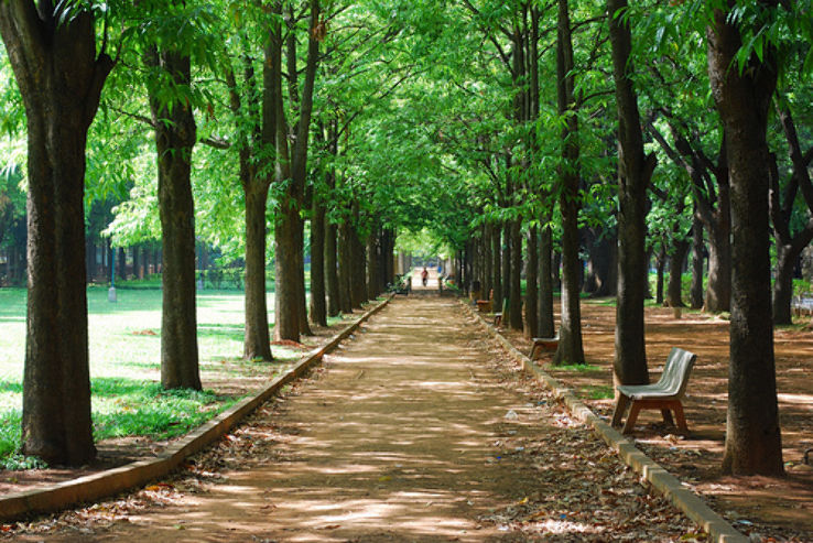 CUBBON PARK IN BANGALORE Trip Packages