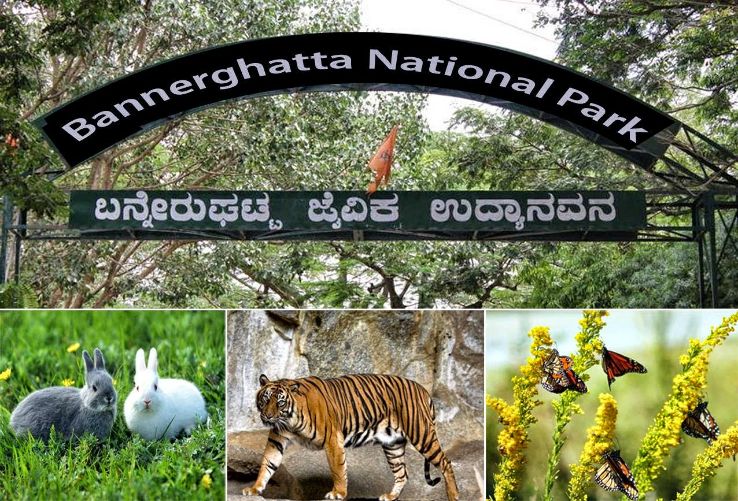 BANNERGHATTA BIOLOGICAL PARK Trip Packages