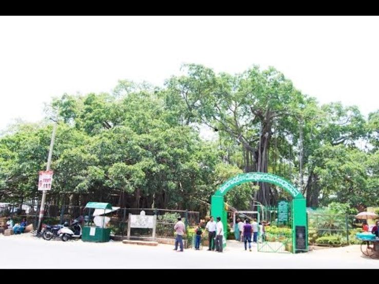 DODDA ALADA MARA  Trip Packages