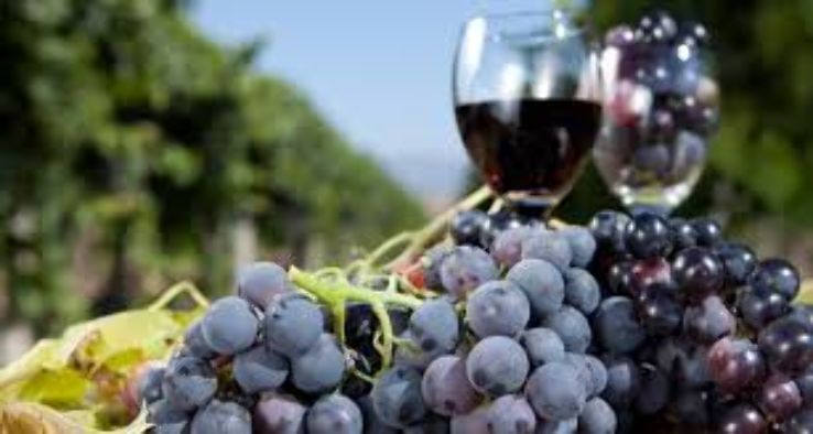WINE TOURS Trip Packages WINE TOURS Trip Packages