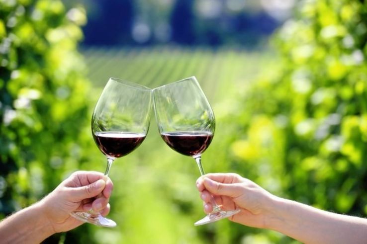 WINE TOURS  Trip Packages