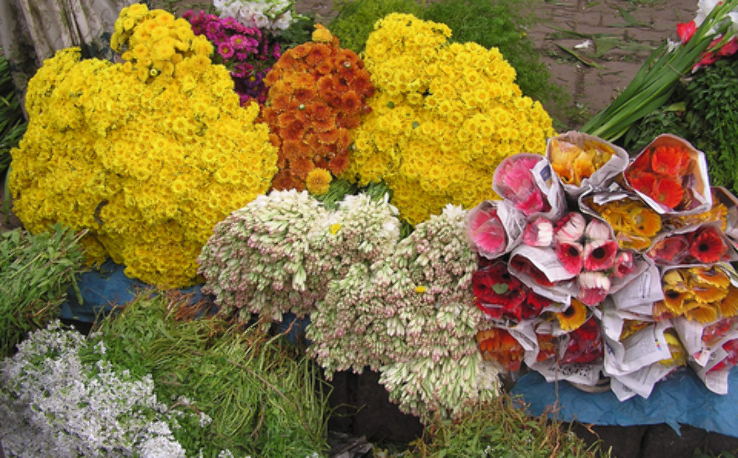 Flower Market Trip Packages Flower Market Trip Packages
