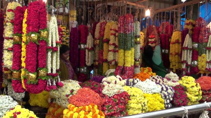 Flower Market Trip Packages