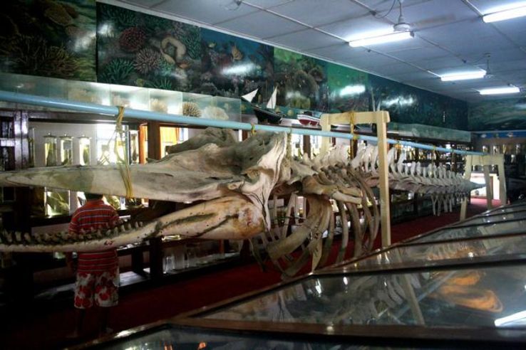 Marine Museum Trip Packages