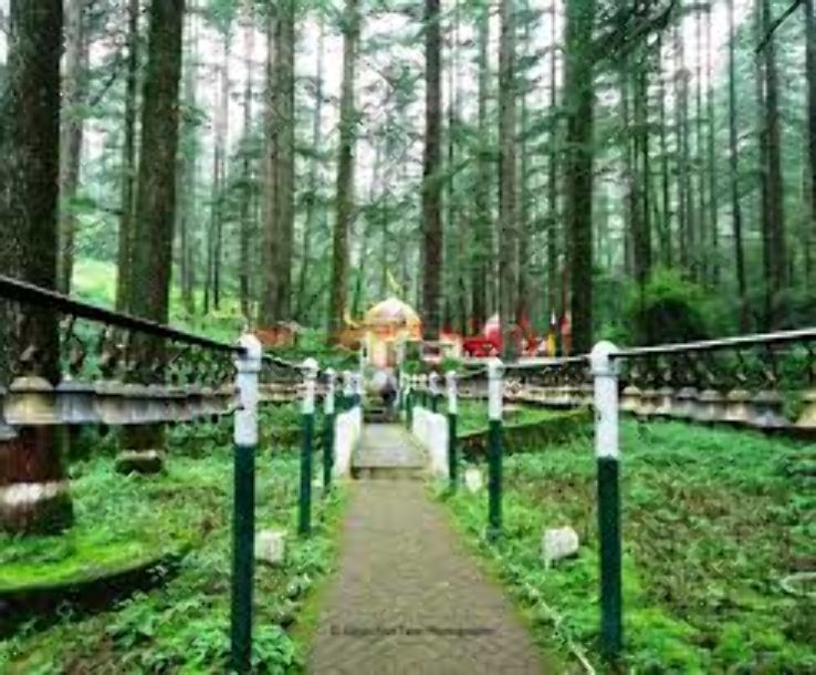 TARKESHWAR MAHADEV TEMPLE Trip Packages