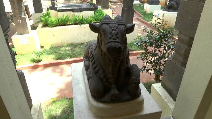 Rallabandi Subbarao Government Museum Trip Packages