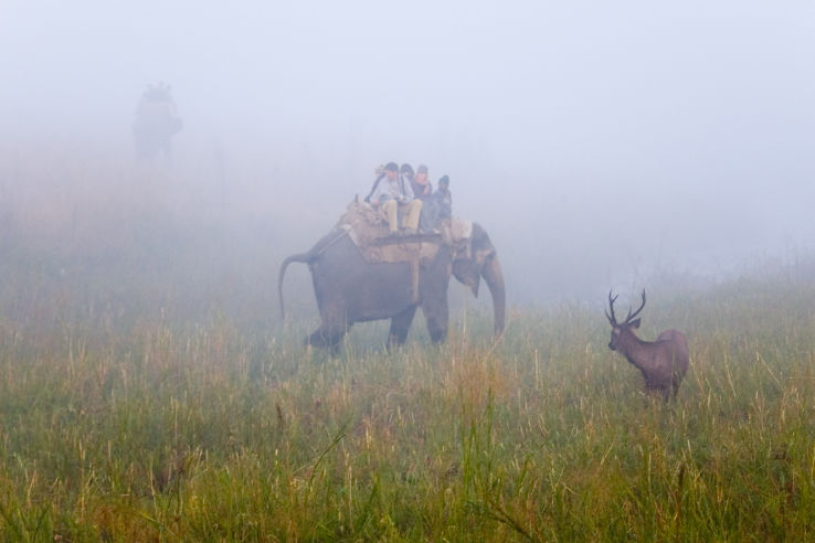 Corbett National Park Jeep Safari Trip Packages