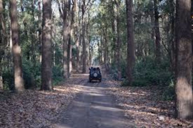 Corbett National Park Jeep Safari Trip Packages