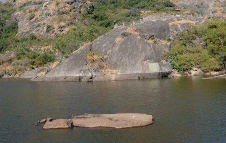 Trevors Tank Trip Packages