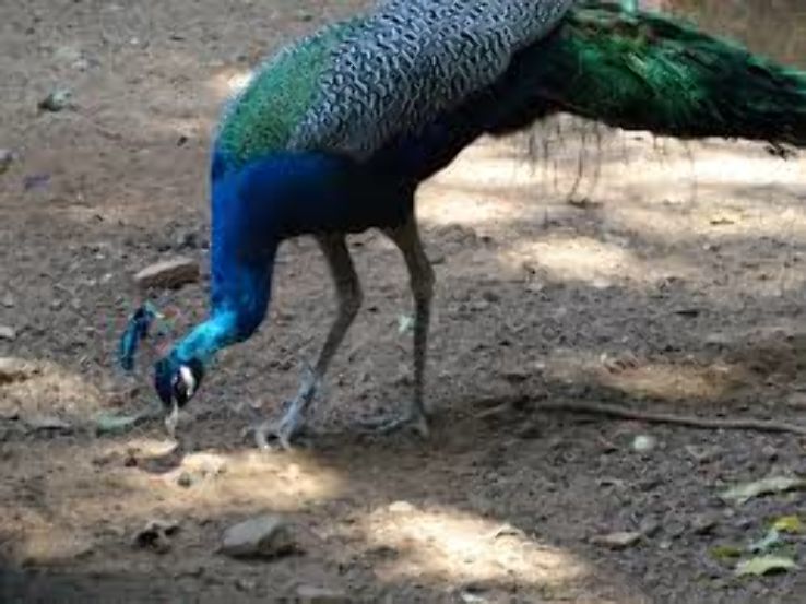 Thrissur Zoo Trip Packages Thrissur Zoo Trip Packages