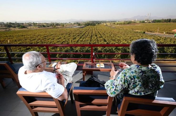 Nashik Wine Tour at Soma Trip Packages