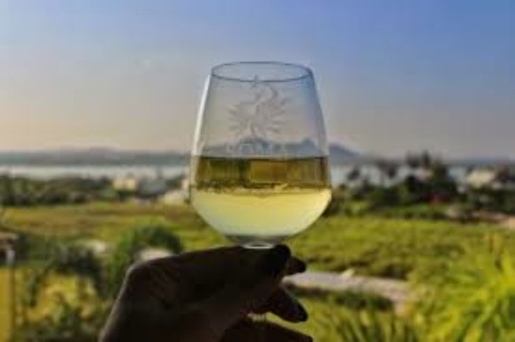 Nashik Vineyard Stay and Tour Trip Packages
