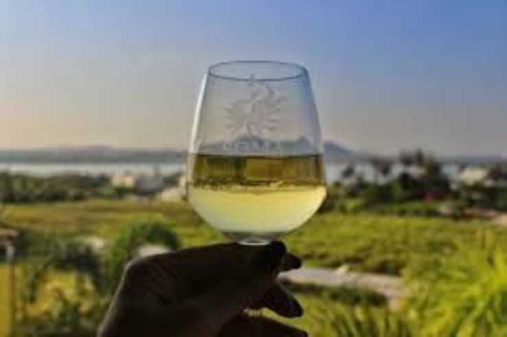 Nashik Vineyard Stay and Tour Trip Packages Nashik Vineyard Stay and Tour Trip Packages