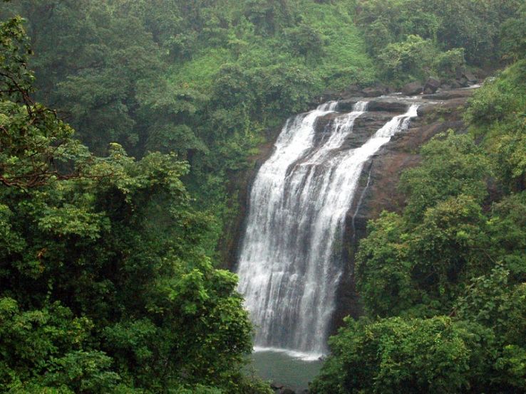 Vihigaon Waterfall Trip Packages