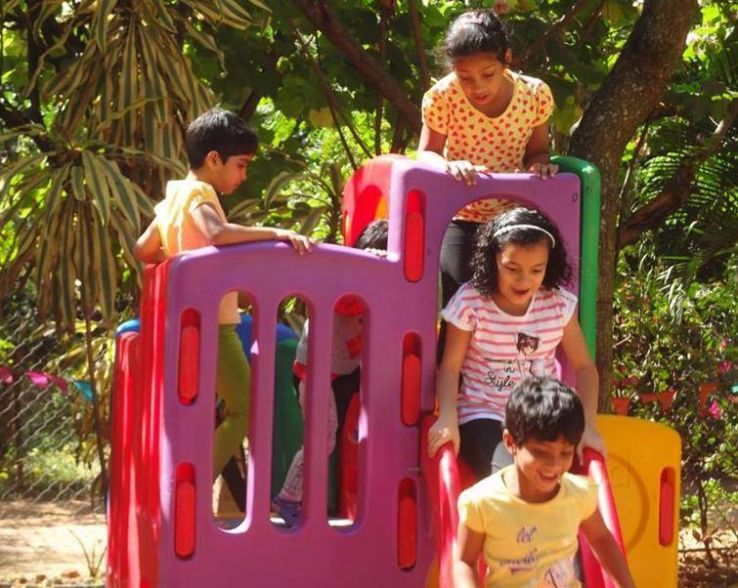 The Green Pocket Trip Packages The Green Pocket Trip Packages
