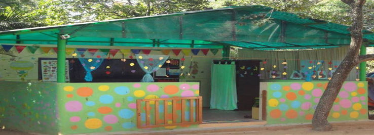 The Green Pocket Trip Packages The Green Pocket Trip Packages