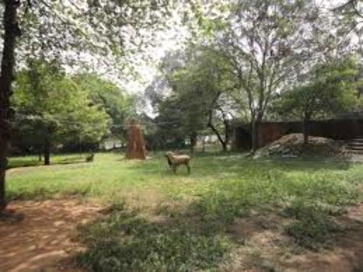 The Martin Farm Trip Packages The Martin Farm Trip Packages