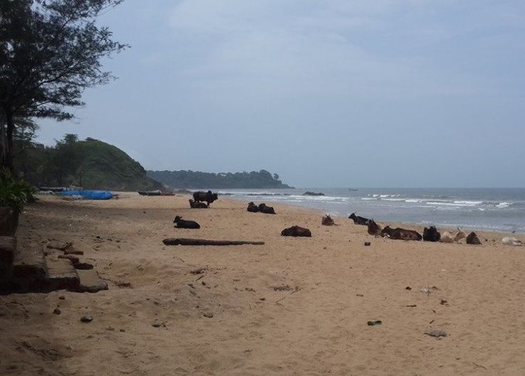 Colomb Beach Trip Packages