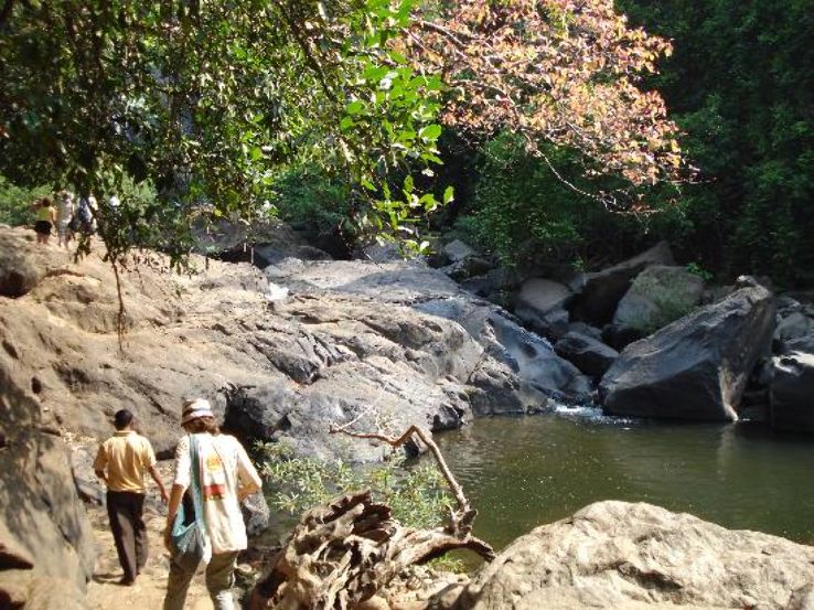 Bhagwan Mahavir Sanctuary Trip Packages