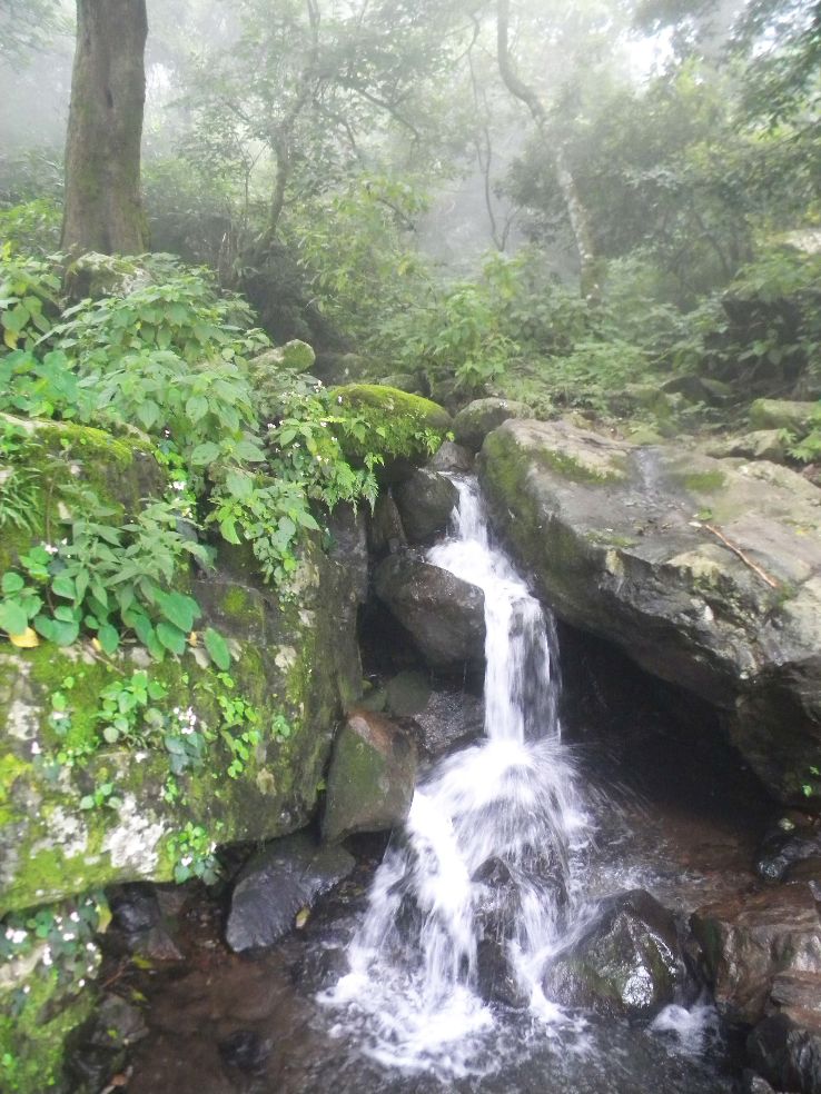 Parasnath Hills Trip Packages Parasnath Hills Trip Packages