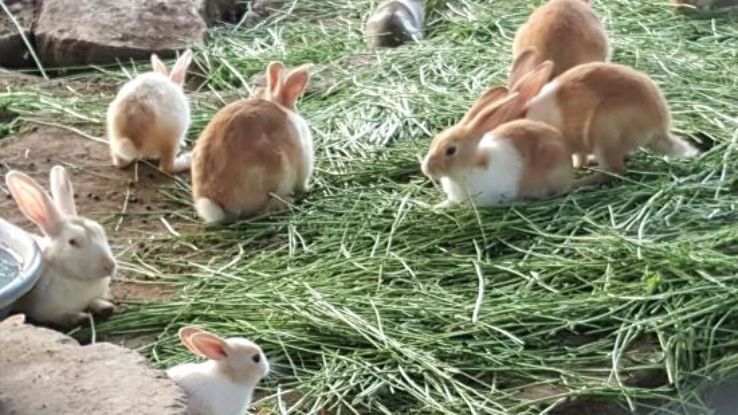 Siddharth Garden  Zoo Trip Packages