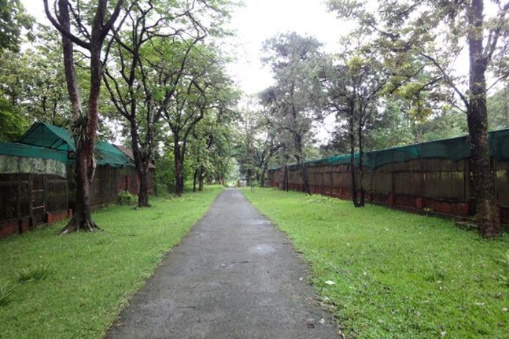 Orchid Research Centre Trip Packages