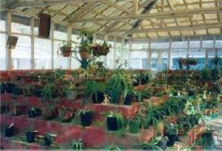 Orchid Research Centre Trip Packages