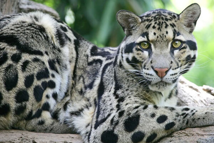 Talley Valley Wildlife Sanctuary Trip Packages Talley Valley Wildlife Sanctuary Trip Packages
