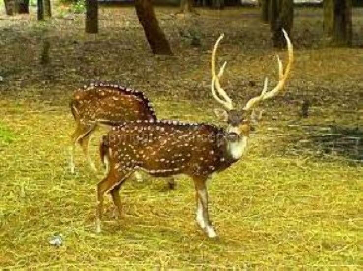 Talley Valley Wildlife Sanctuary Trip Packages Talley Valley Wildlife Sanctuary Trip Packages