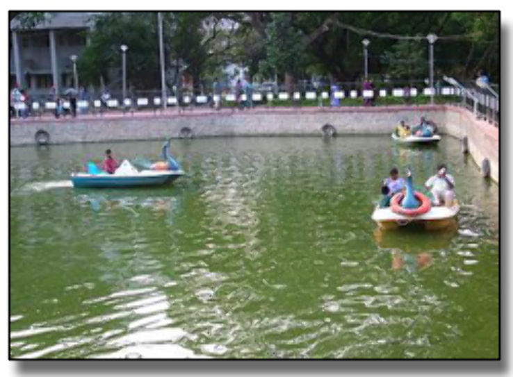 Madurai Corporation Eco Park Trip Packages