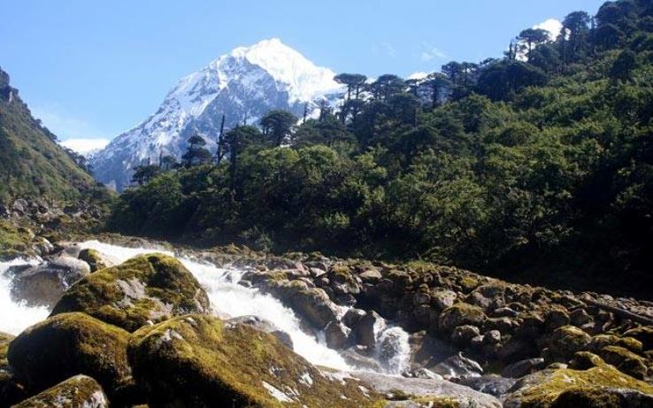 Kanchenjunga National Park Trip Packages