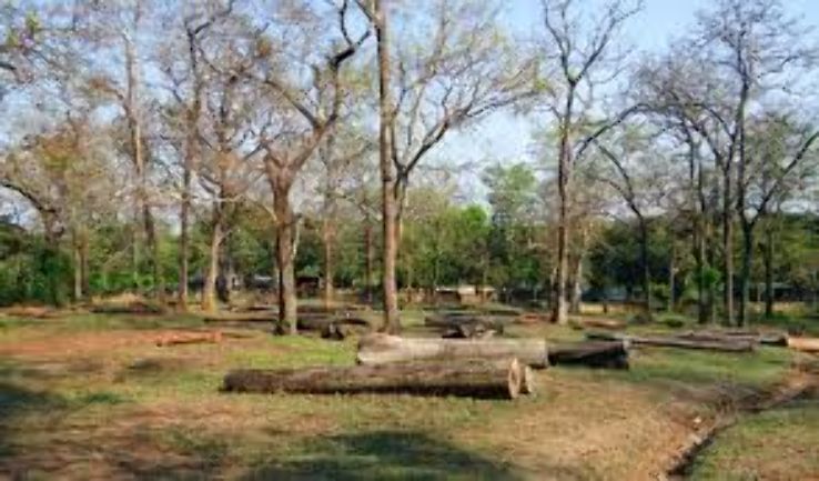 The Jungle Camping Trip Packages The Jungle Camping Trip Packages