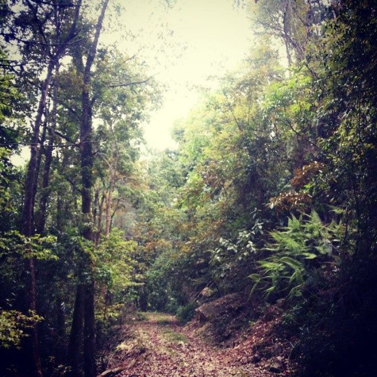 Neora National Park Trip Packages