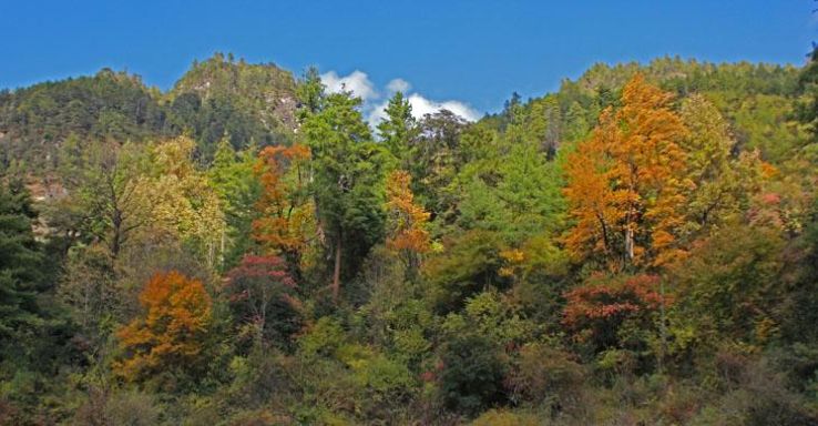 Torsa Strict Nature Reserve Trip Packages