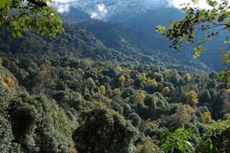 Torsa Strict Nature Reserve Trip Packages