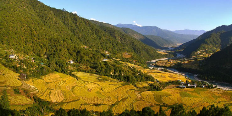 Punakha Winter Trek Trip Packages