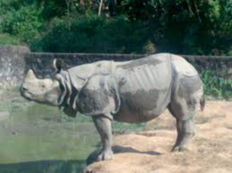 Guwahati Zoo  Trip Packages