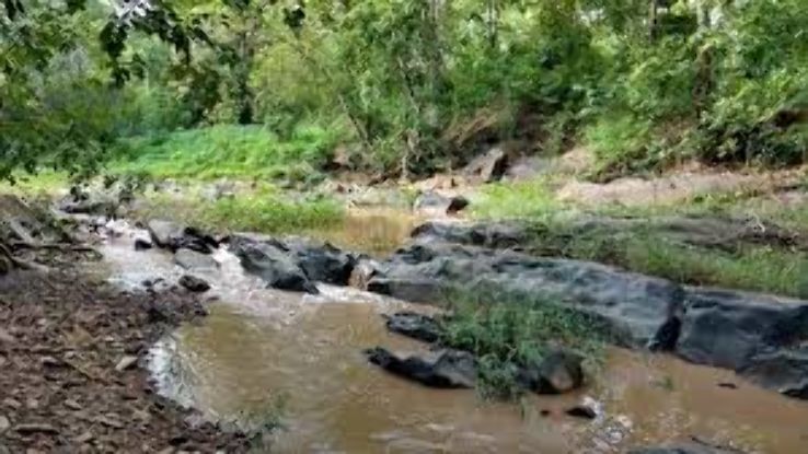 Molangi Falls Trip Packages Molangi Falls Trip Packages