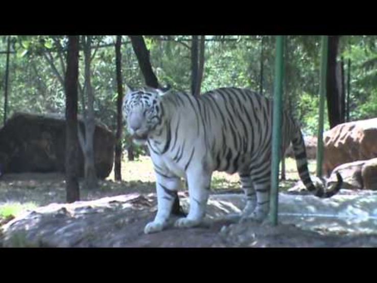 Sri Venkateswara Zoological Park  Trip Packages