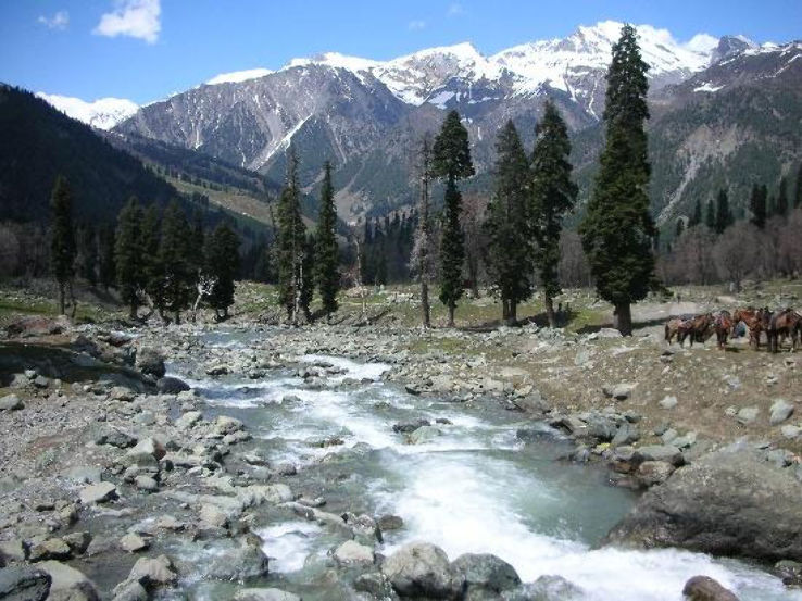 Shiva Garh Trip Packages Shiva Garh Trip Packages
