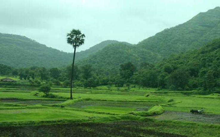 Khanvel Trip Packages