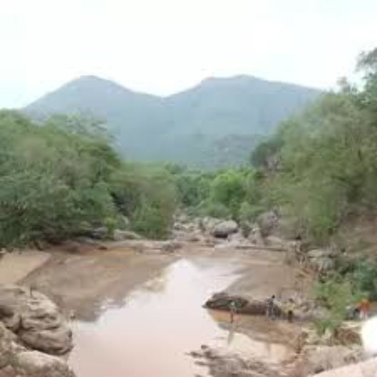 Amirthi Zoological Park Trip Packages